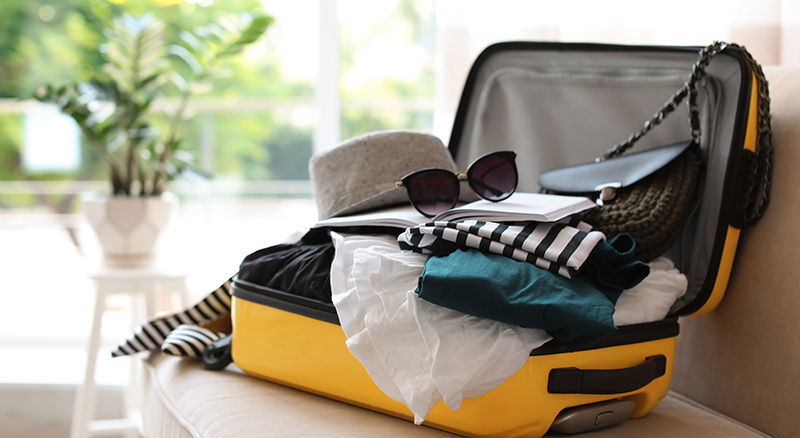 Travel Bags